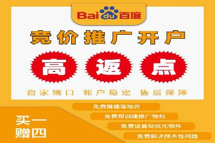 百度竞价运营策略：成功案例解析